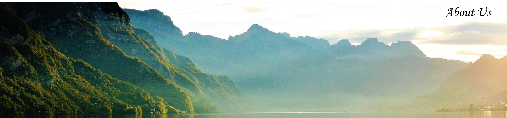 アンケートから顧客の本音は分かるのか？