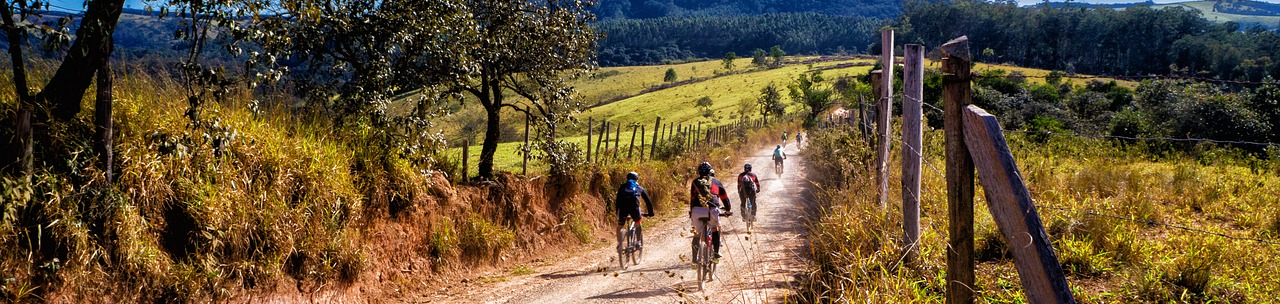 論理的に正しい VS 心情的 / 道義的に正しい